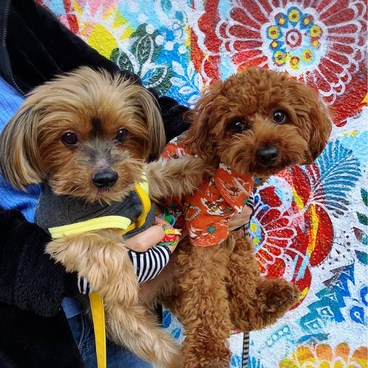 3d1882a6 61d3 4d24 aede 79c8e0691e00 1634979307529