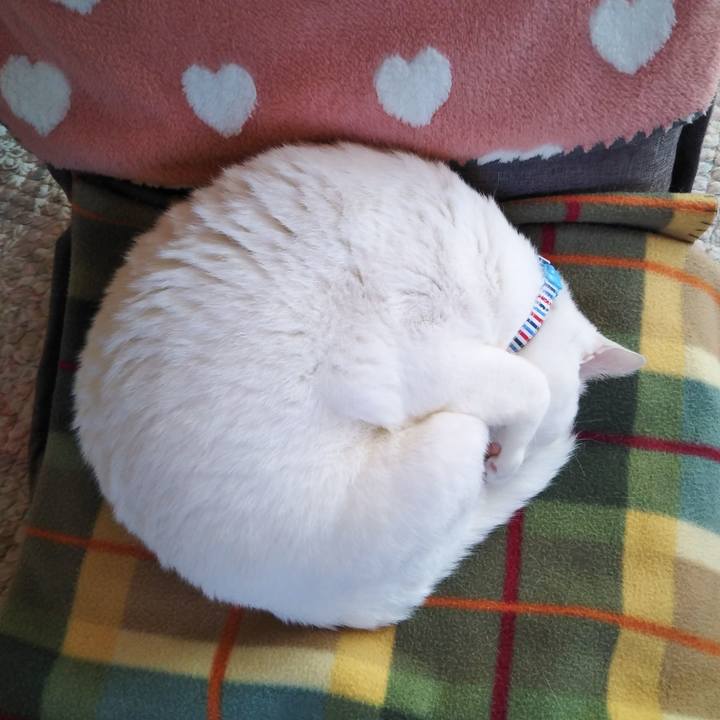 3d188ae6 f180 4224 8973 134dcfea550a 1607406837683