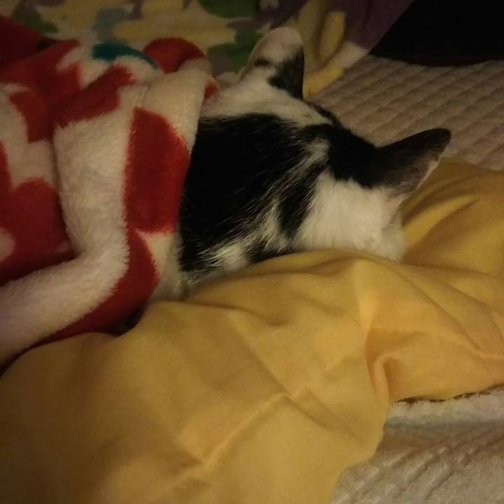 3d1894ce 1aa0 4fc5 ac24 c97d6061ef2d 1534420493747