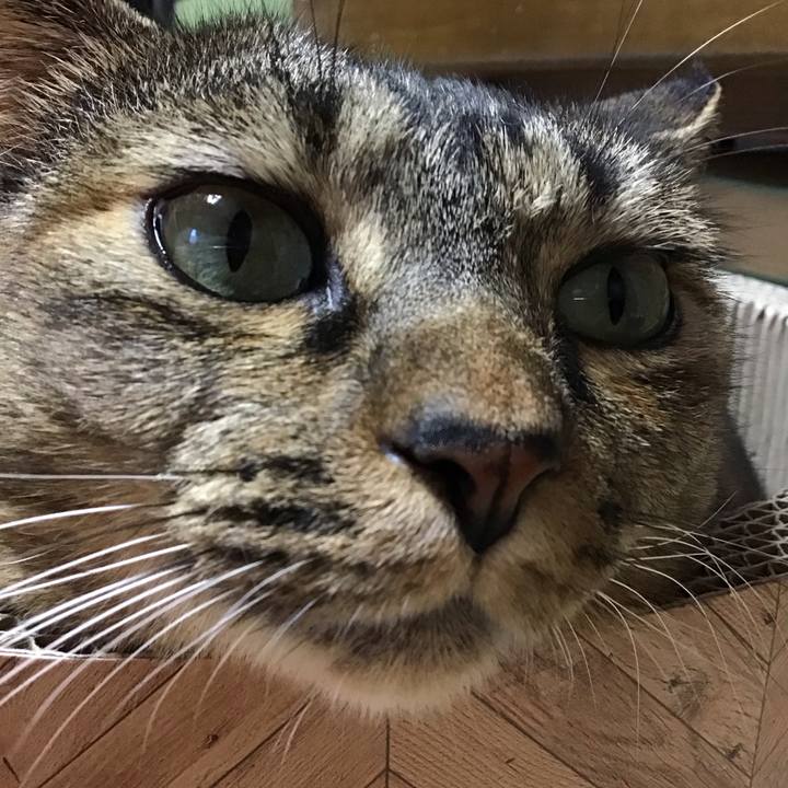 3d18c871 4897 4fff 900b 5672e3d98ab5 1697964092257