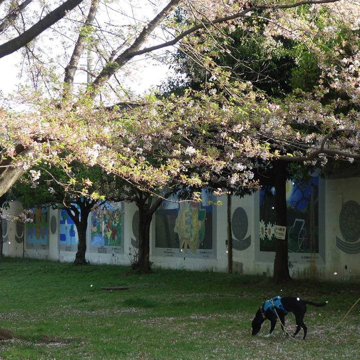 3d18d435 39ca 483b 84a6 7c7001efc751 1617409857110