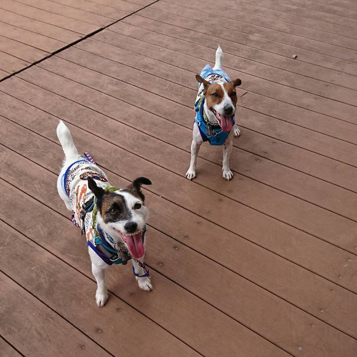 3d18e843 babf 4654 8db2 e796770e5055 1591848523664