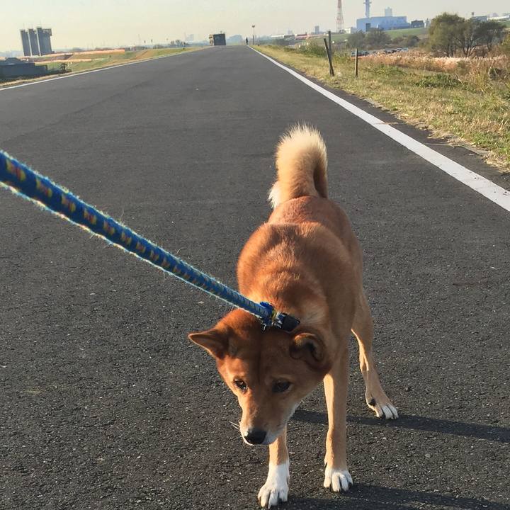 3d18fce0 af4c 490b ba66 210bf6f0c9e5 1511756904359