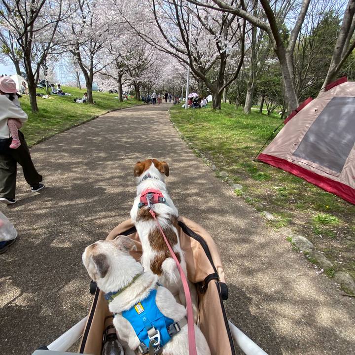 3d1915f6 1f9f 4462 9a11 73b9e71169af 1712379305909