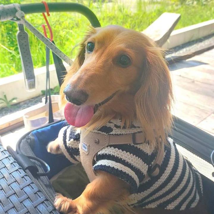 3d1916d2 c134 46c5 93e7 9db91101fb9f 1664198135480