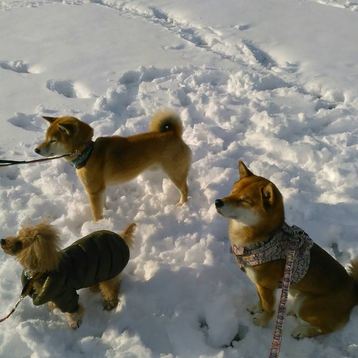 3d195575 0158 46ec ae69 1ef664fc83b5 1516691654140