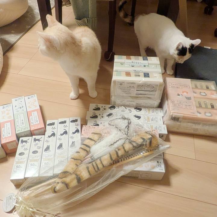 3d19db03 0d3b 4a73 9e8e 52960646f1de 1769938408276