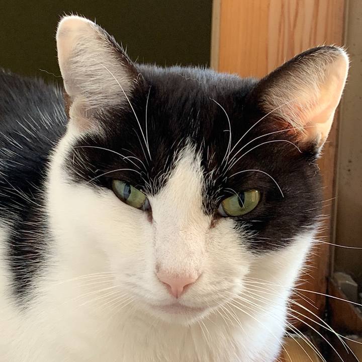 3d1a4c5e ef85 43f8 b3bb 68cd7285a580 1575684478071