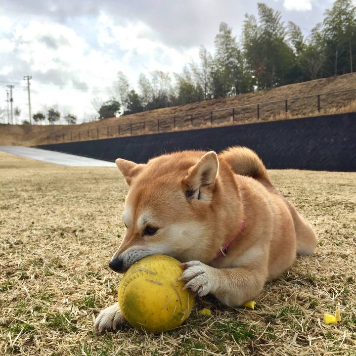 3d1a4fee d198 4987 bc01 3f8ba5703081 1519875094318