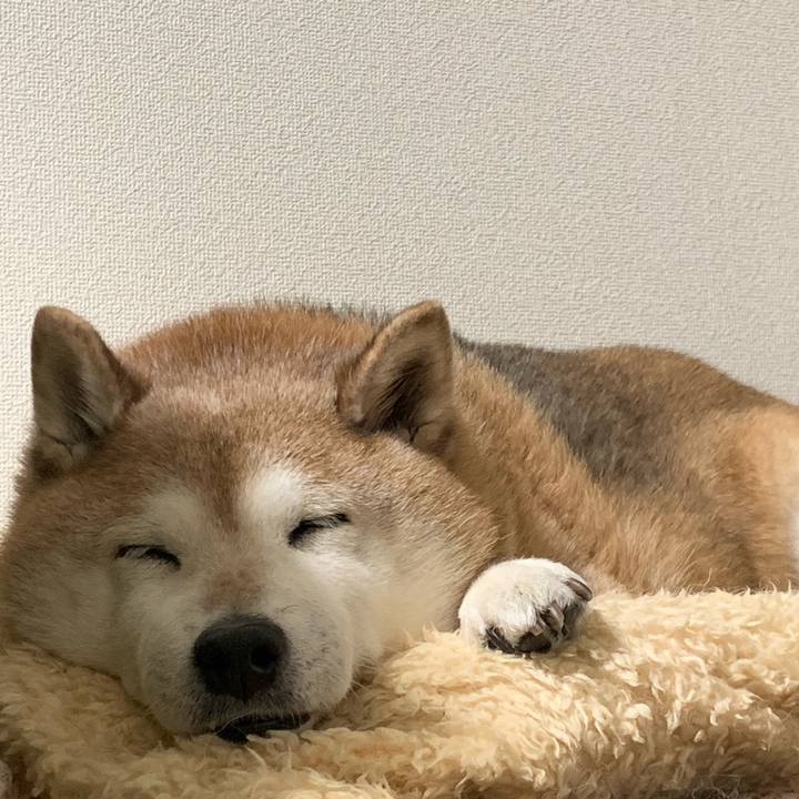 3d1a5fea 4e5d 4c39 a5a8 31b2a78b54be 1586060797773