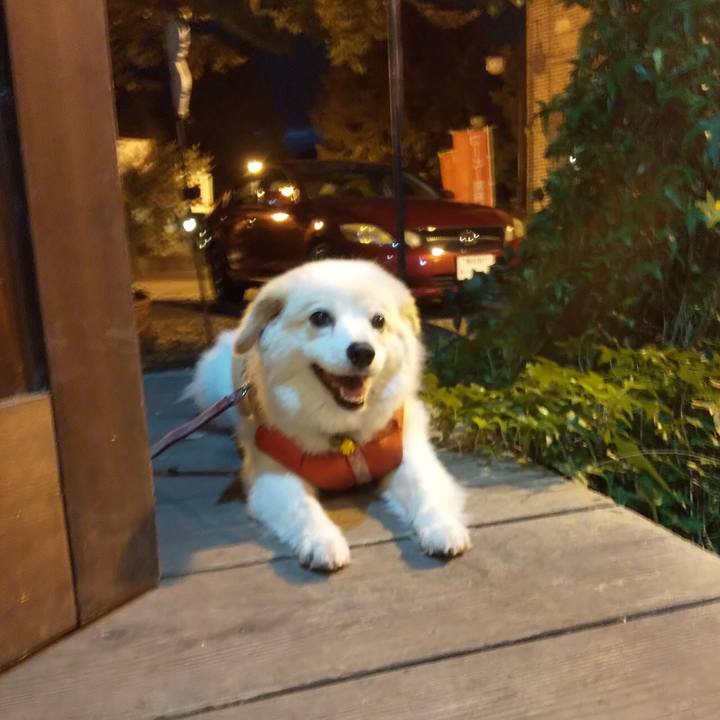 3d1a850f 92e2 4b8f 94a5 9f1a53791645 1568800174806