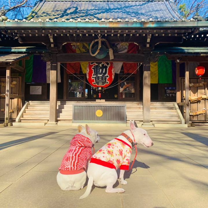 3d1a9b1a 67ee 4aa8 9c44 4aeafa262e03 1613203092466