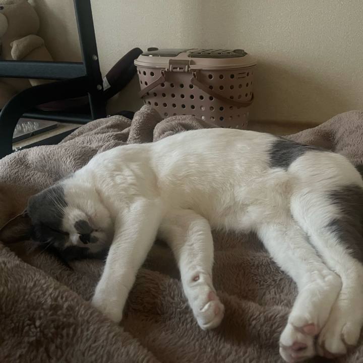 3d1aa6a9 2b86 4316 9835 e4e702d0d9fe 1680511705713