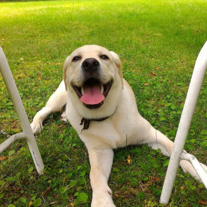 3d1ab598 3fb2 4cf1 8892 fa9f3698da35 1518080345467