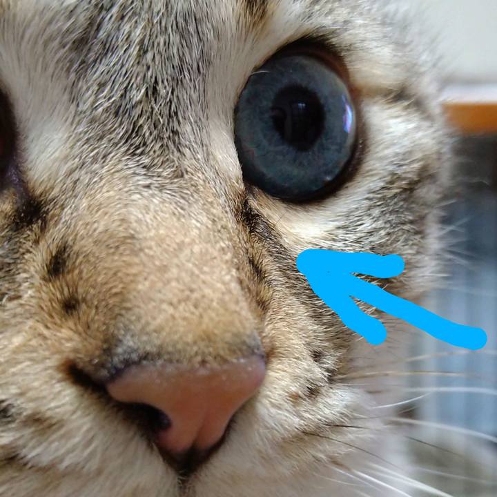 3d1acb02 83c7 44ba b41d b63ead24b027 1613473658933