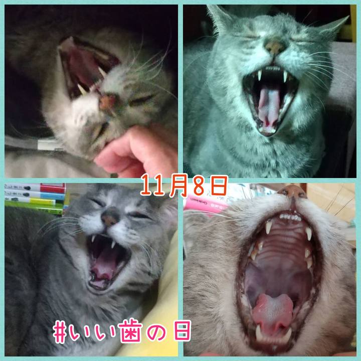 3d1ad2fa a5a1 4701 b9c3 51bea780cdbe 1731145500847