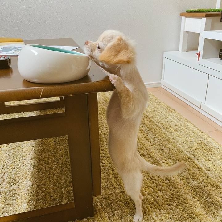 3d1aecce ab1c 4ac8 b117 1cd7913735cc 1592036216567