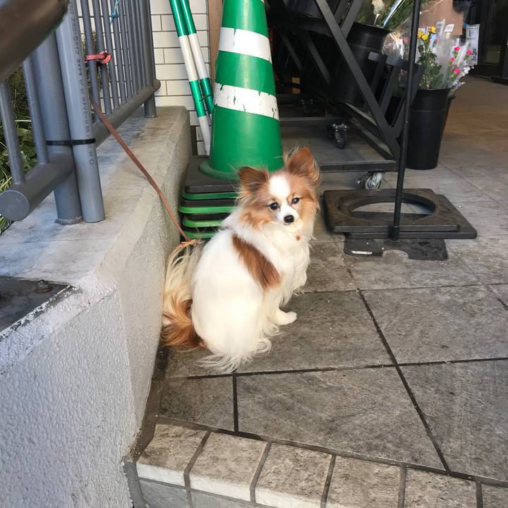 3d1b3bcb 47d1 4416 8cb0 4f3ed0a37b6b 1547362924339