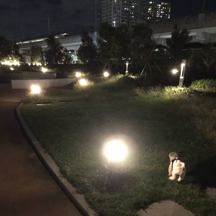 3d1b89d6 1f43 4f80 9aa0 32c80a91320f 1538908963713