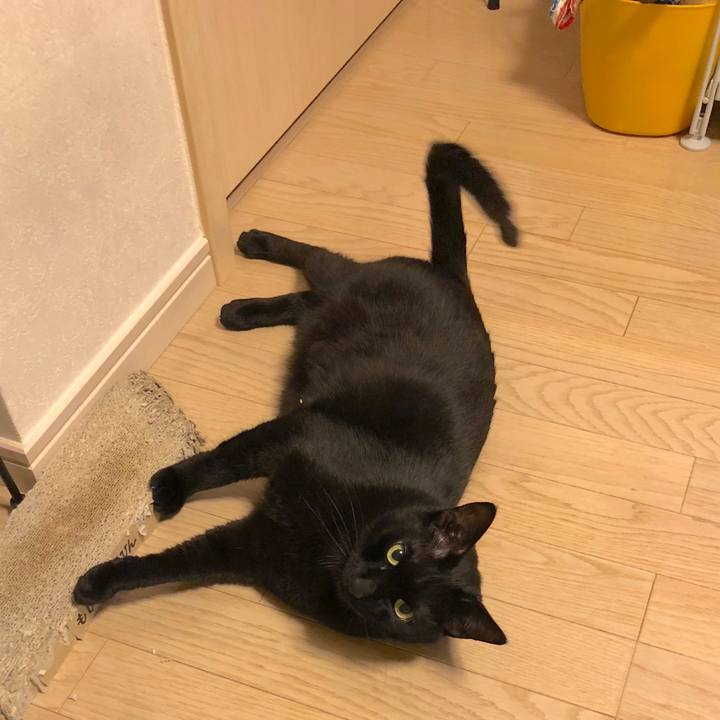 3d1ba958 6c6c 4b85 a5d2 06d1d2e41069 1522842341202