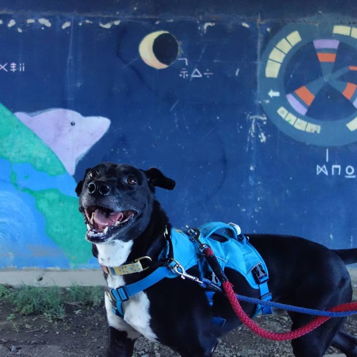 3d1bb498 280d 4b65 aa02 b701a7dfac89 1632183216678