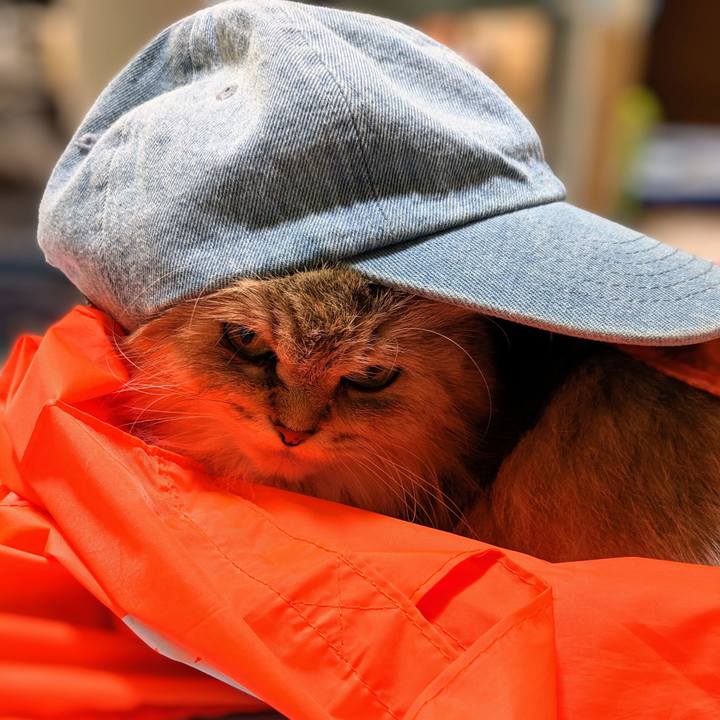 3d1c1539 204b 497a afef c2785ca657ea 1692600767164