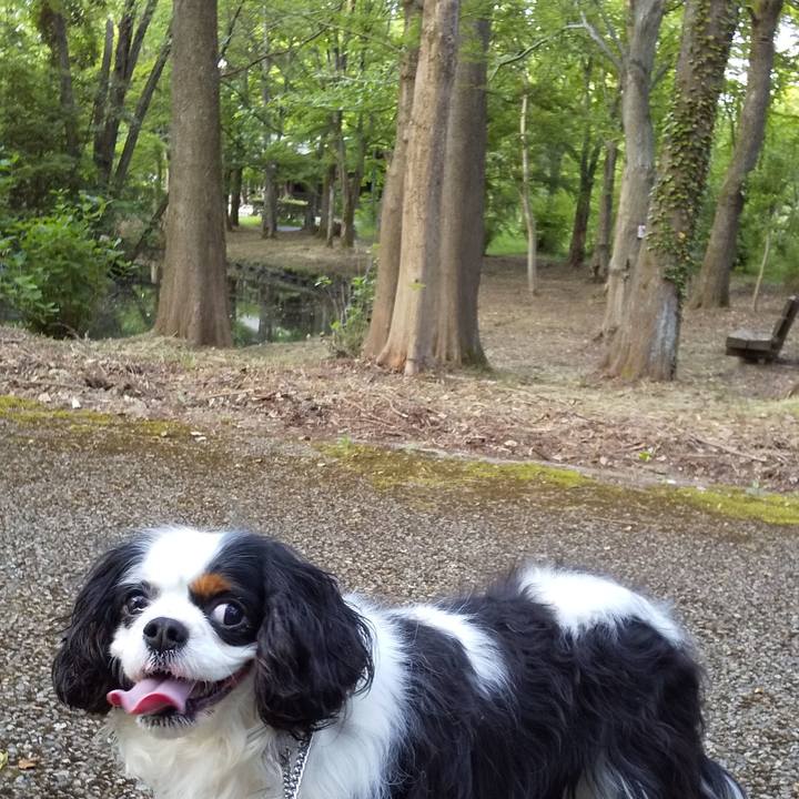 3d1c17e0 6b7c 403a 85f6 ab04ed0c9883 1557913481083