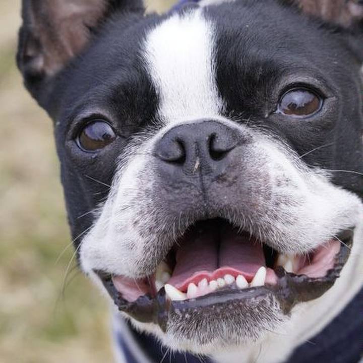 3d1c42d4 1125 4906 818a 800deb0aabcf 1549193864295