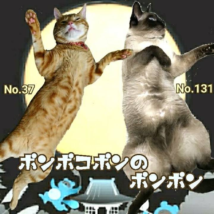 3d1c5839 bcd7 4275 bdef b88253341b22 1537099417928