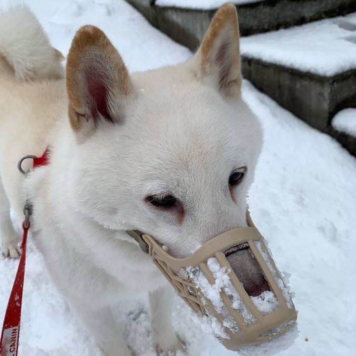 3d1c58d8 d3f3 45cb 90b6 024ff05bc9a8 1605067047962