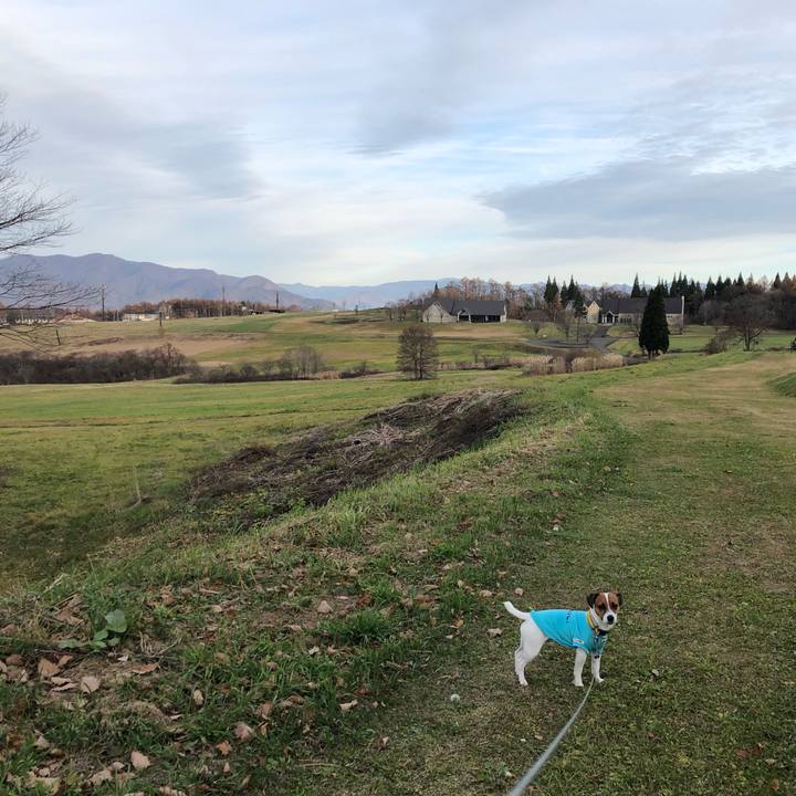 3d1c5f7e fbb8 481a 818f 2e1a63fefbf6 1542794673614