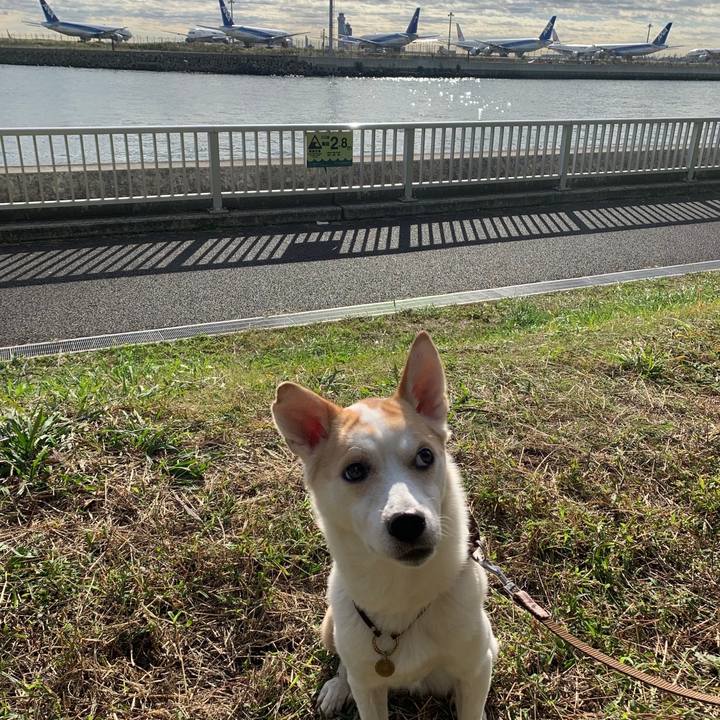 3d1c6011 358b 4343 9854 14cc626e278e 1637803050686