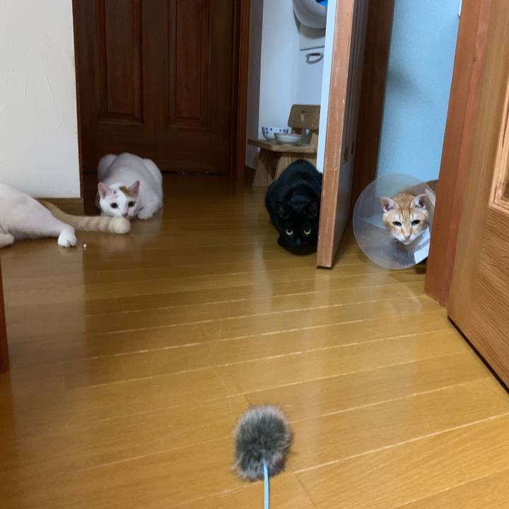 3d1c8696 245a 4df9 a053 5e0d37285170 1568758277061