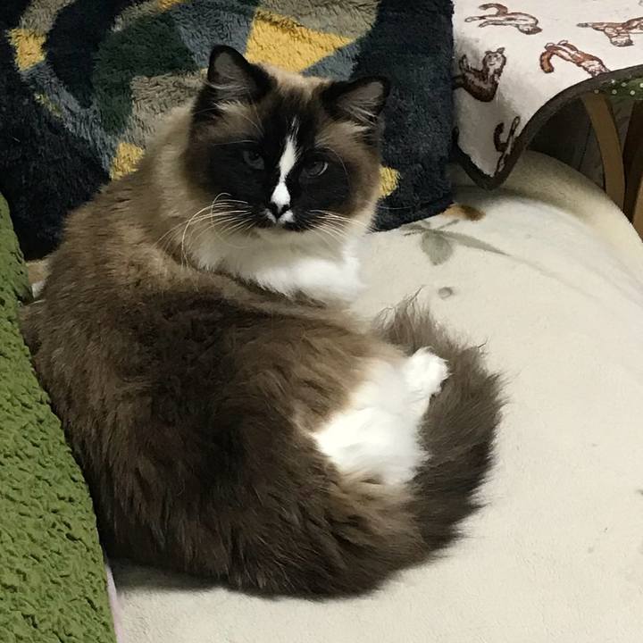 3d1c86d3 b6b9 488c 8bbe 848edade66d6 1521801919543