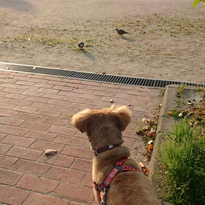 3d1c95f4 d12b 4df2 9c5c 1d2a5f624432 1524867434119