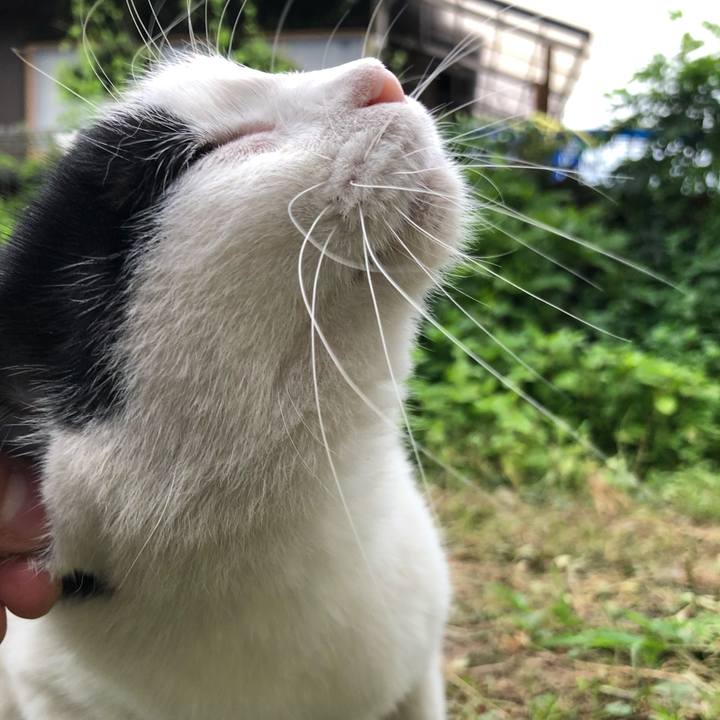 3d1cc37d dce7 48de a19f ed04238972d6 1600264952124