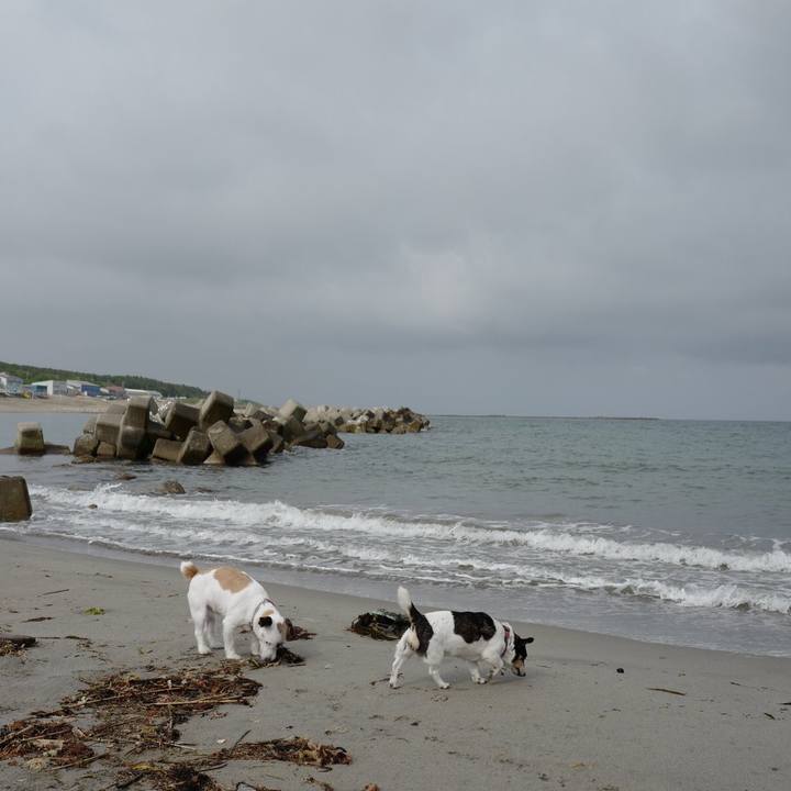 3d1cd539 e3cc 4e91 8a91 22c0526549aa 1559792574489