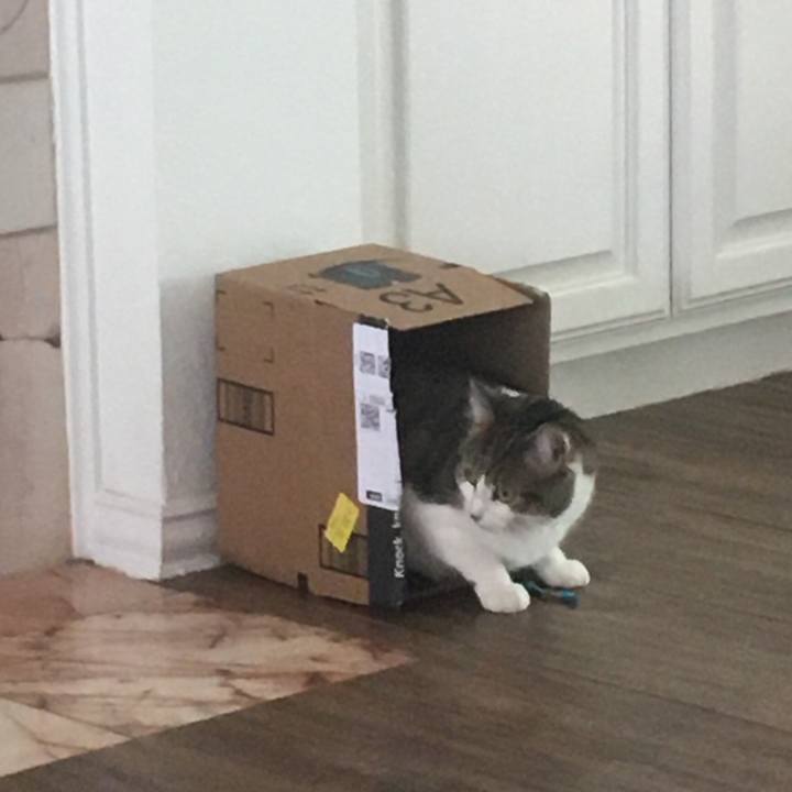 3d1cddfe b07b 4413 9e38 aa7805068e5a 1651192407403