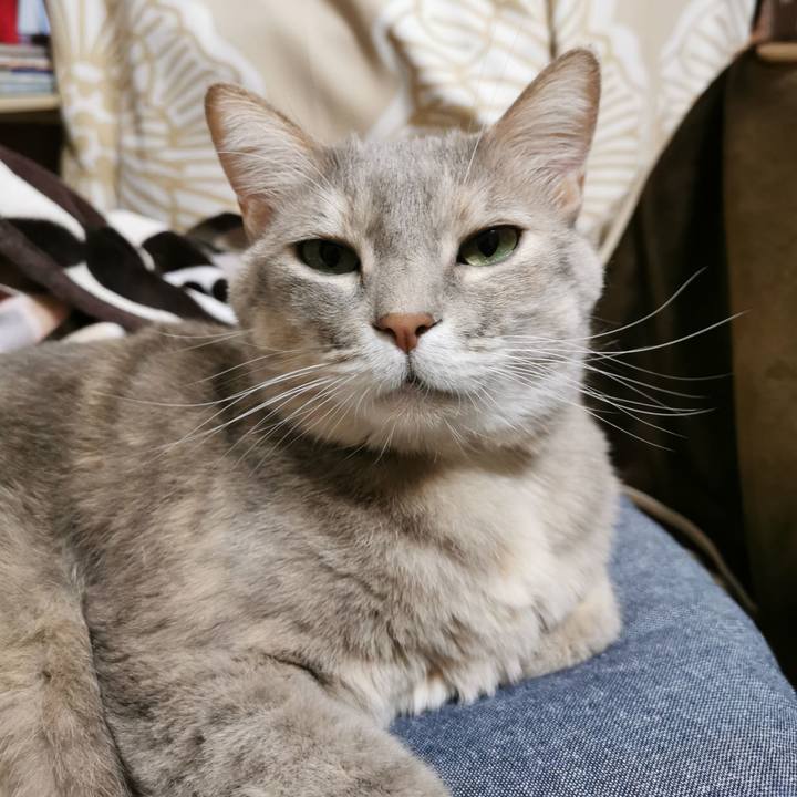 3d1cdee1 c73b 49bd a70a 275209ade3fc 1676870534865