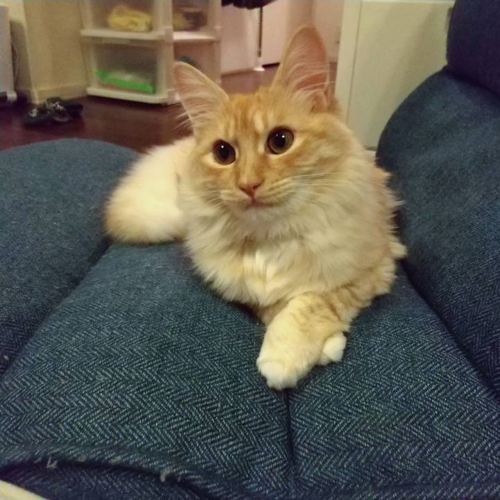 3d1cfe53 f6a6 4186 a864 760b6abd6382 1619524415201