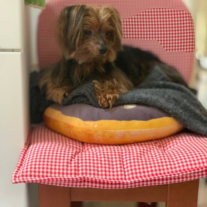 3d1d15d1 38fa 499b 9c4d 376840db3e01 1539668444372