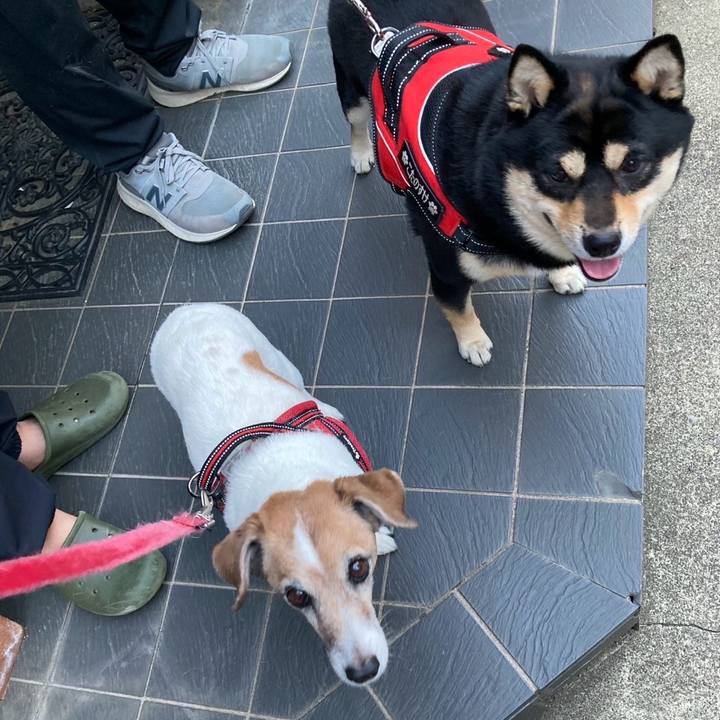 3d1d1cc6 e2b1 4888 9dbe dc464899463c 1746233339913