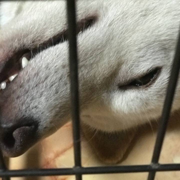 3d1d5e2e 7db5 4709 853a 0c4ee963133b 1534121985269