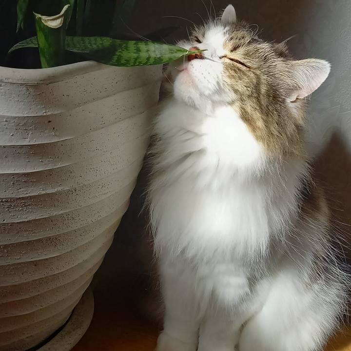 3d1dbcf1 55fd 40b3 9cbc bbc6513791ae 1669119264341