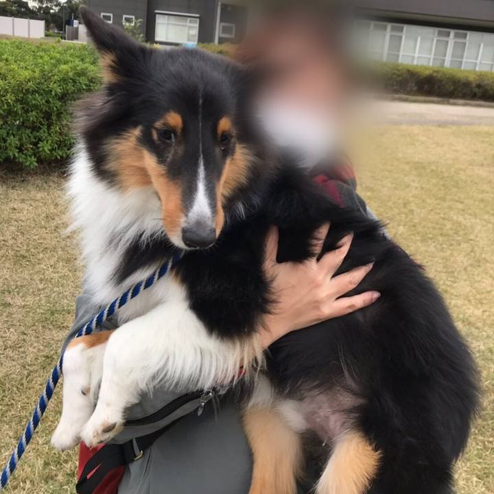 3d1e006f 58d9 443e 8be5 963113d4bde3 1543051236624