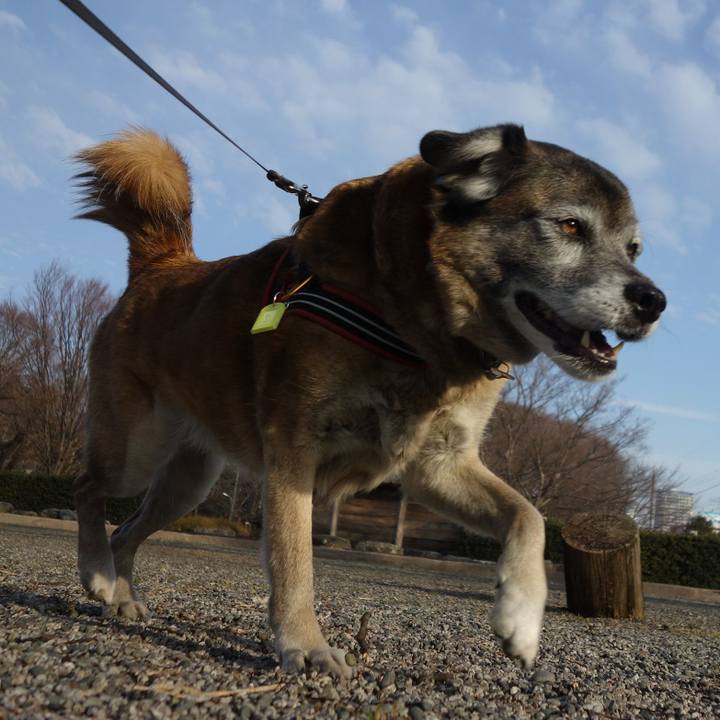 3d1e3838 9f0b 42b5 814f e23459cead4e 1550292484053