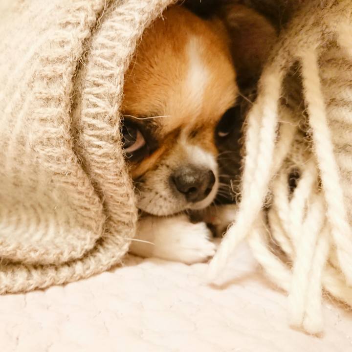 3d1e6439 0022 404b a378 a604550d163f 1583627390781