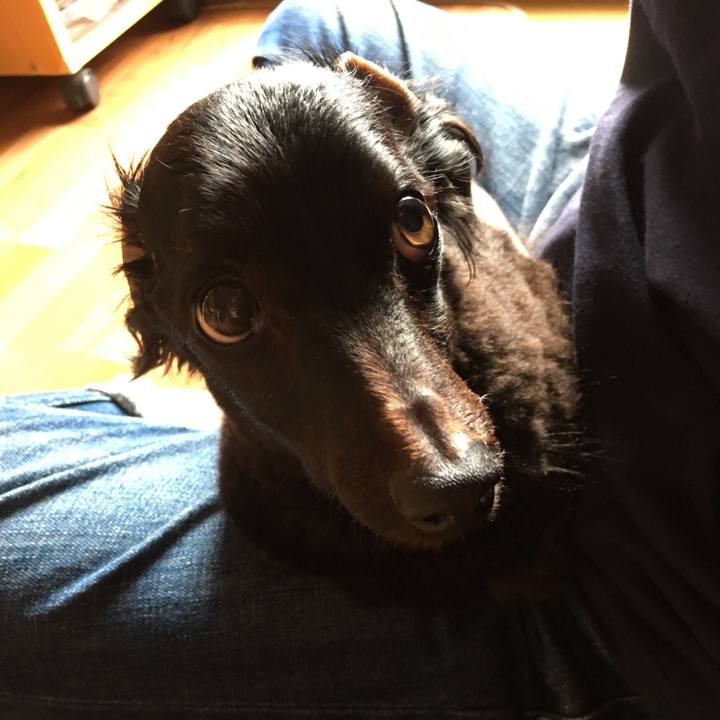 3d1e7181 3ddc 4dca b9ec f6672ffd7d3c 1531523043722