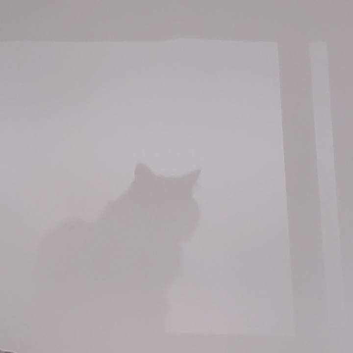 3d1e8558 e13e 4426 b64a e86e8b8bbc11 1693613890693