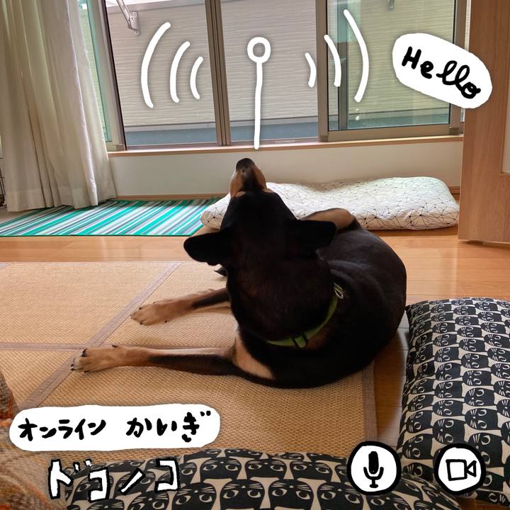 3d1e968f 5b44 4e77 a3e6 91b8a7abf7b3 1591345651508